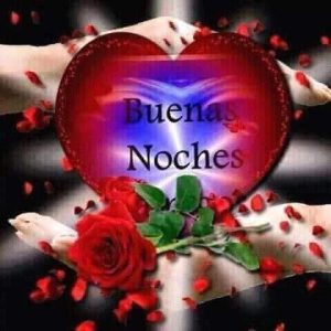 Dedicatorias De Buenas Noches Para Celular