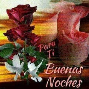 Dedicatorias De Buenas Noches Para Facebook