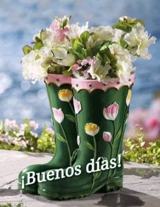 Dedicatorias De Buenos Dias Amor Para Mi Amor