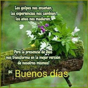Dedicatorias De Buenos Dias Amor Para Una Amiga