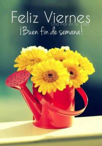 Dedicatorias De Buenos Dias Para Enamorar Para Una Amiga