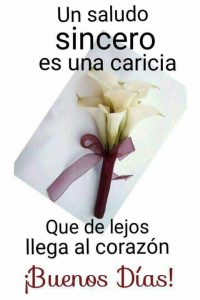 Dedicatorias De Buenos Dias Para Mi Amor Para Whatsapp