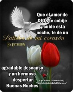 Descargar Imágenes Gratis De Buenas Noches Para Facebook