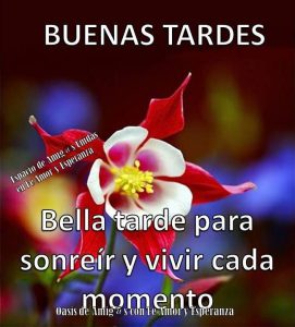 Descargar Imagenes De Buenas Tardes Para Facebook Y Whatsapp