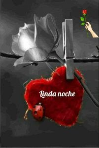 Descargar Imagenes Para Dar Las Buenas Noches Para Facebook