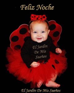 Desear Buenas Noches A Mi Amor Para Facebook