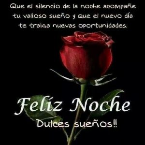 Desear Buenas Noches A Un Amor Para Facebook