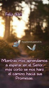 Desear Buenos Dias A Mi Novio