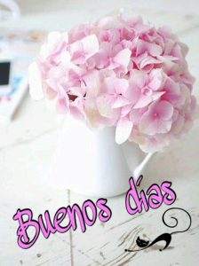 Desear Buenos Dias Con Amor Para Descargar