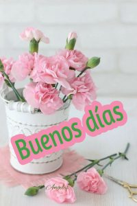 Desear Buenos Dias Para Mi Amor