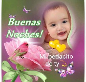 Desearle Buenas Noches A Mi Novia Para Celular