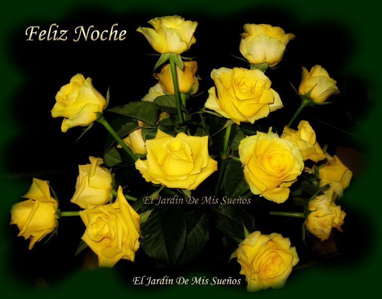 Desearle Buenas Noches A Mi Novia Para Whatsapp
