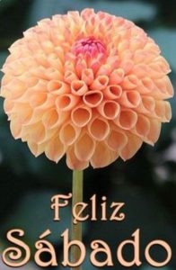 Dia De Sabado Frases Para Facebook