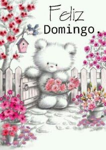 Domingo Amor Para Celular