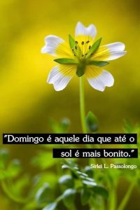 Domingo De Felicidad Para Celular