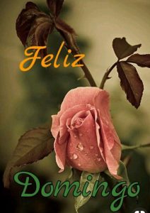 Domingo En Familia Frases Para Celular