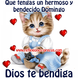 Domingo Feliz Dia Para Celular