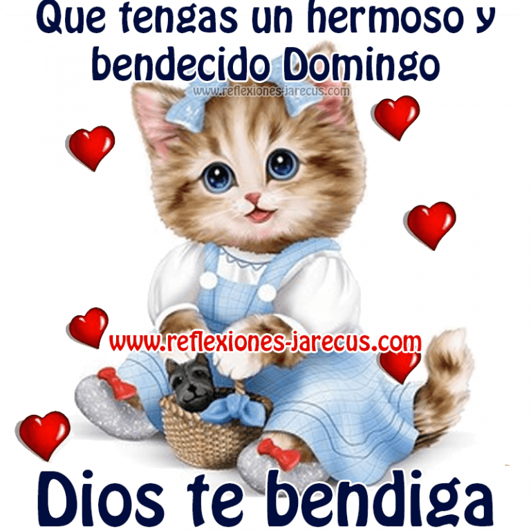 Domingo Feliz Dia Para Celular