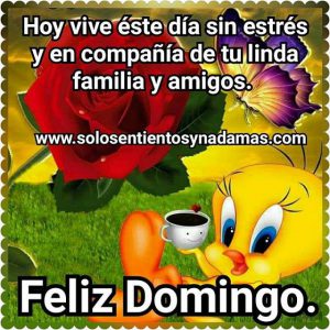 Domingo mensajes imágenes para celular