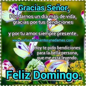 Domingo Para Todos Facebook Para Celular