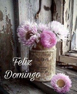 Domingo Para Todos Facebook Para Whatsapp