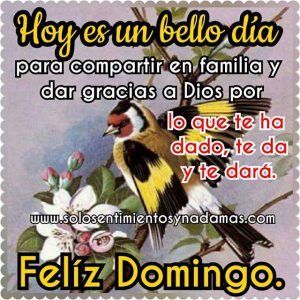 Domingos Para La Juventud Para Celular