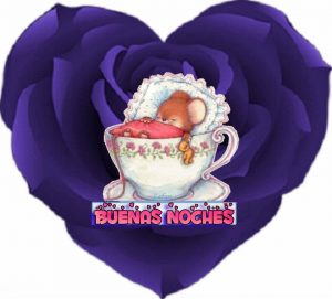Dulces mensajes de buenas noches para WhatsApp