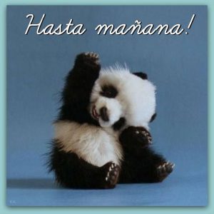 Dulces sueños para descargar al celular