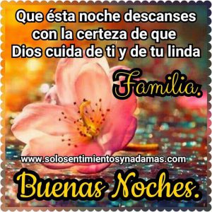 Dulces sueños tienda para WhatsApp
