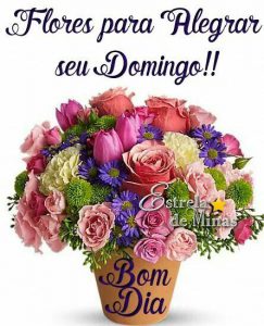 Excelente Domingo Para Celular