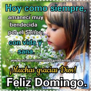 Facebook De Domingo Para Todos Para Celular