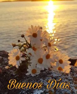 Fases De Buenos Dias Para Descargar