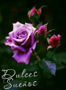 Felices sueños amiga para WhatsApp