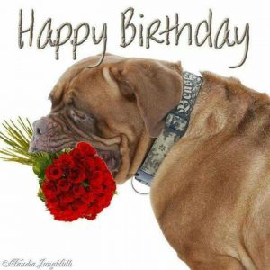 Felicidades de cumpleaños para descargar por WhatsApp