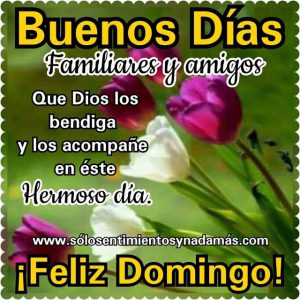 Felicitaciones Para El Domingo Para Celular