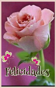 Feliz Cumpleaños Felicitaciones