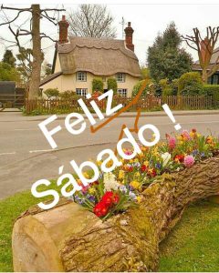Feliz Dia Sabado Para Whatsapp y google
