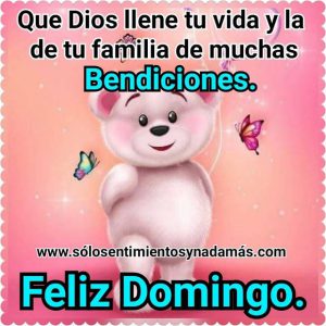 Feliz domingo amiga poema para celular