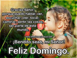 Feliz Domingo Amigos Frases Para Whatsapp