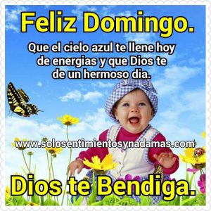 Feliz Domingo Amor Frases Para Celular