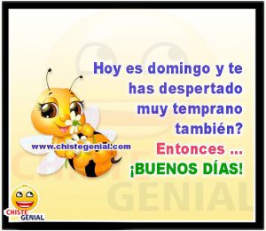 Feliz Domingo Amor Para Celular