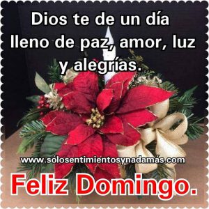 Feliz Domingo Amor Para Whatsapp