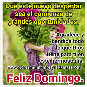 Feliz Domingo Bebe Para Celular