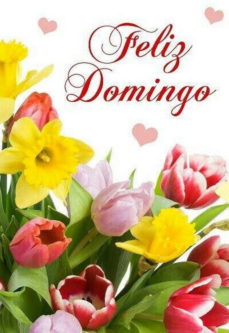 Feliz Domingo Bendiciones Para Celular
