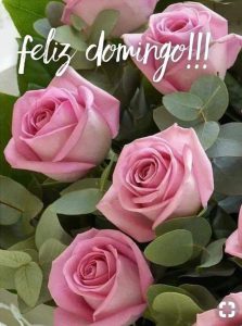 Feliz Domingo Chistoso Para Celular