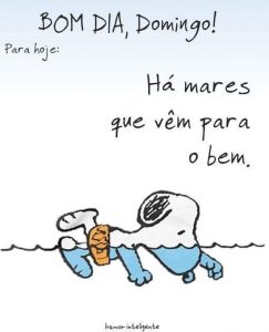 Feliz Domingo Con Flores Para Celular