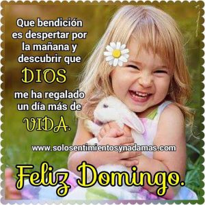 Feliz Domingo Con Movimiento Para Celular
