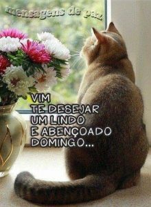 Feliz Domingo Con Rosas Para Celular