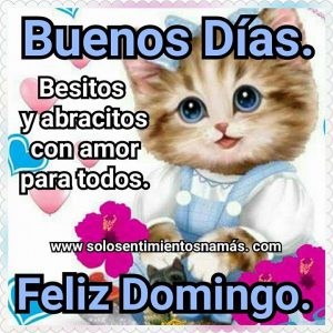 Feliz domingo con rosas para WhatsApp