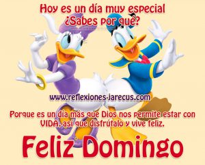 Feliz Domingo Dios Te Bendiga Frases Para Celular